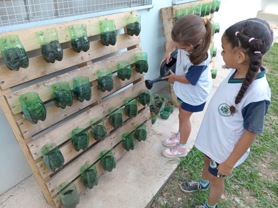 Escola Maria Zara cria horta sensorial para estimular criatividade e facilitar inclusão de alunos