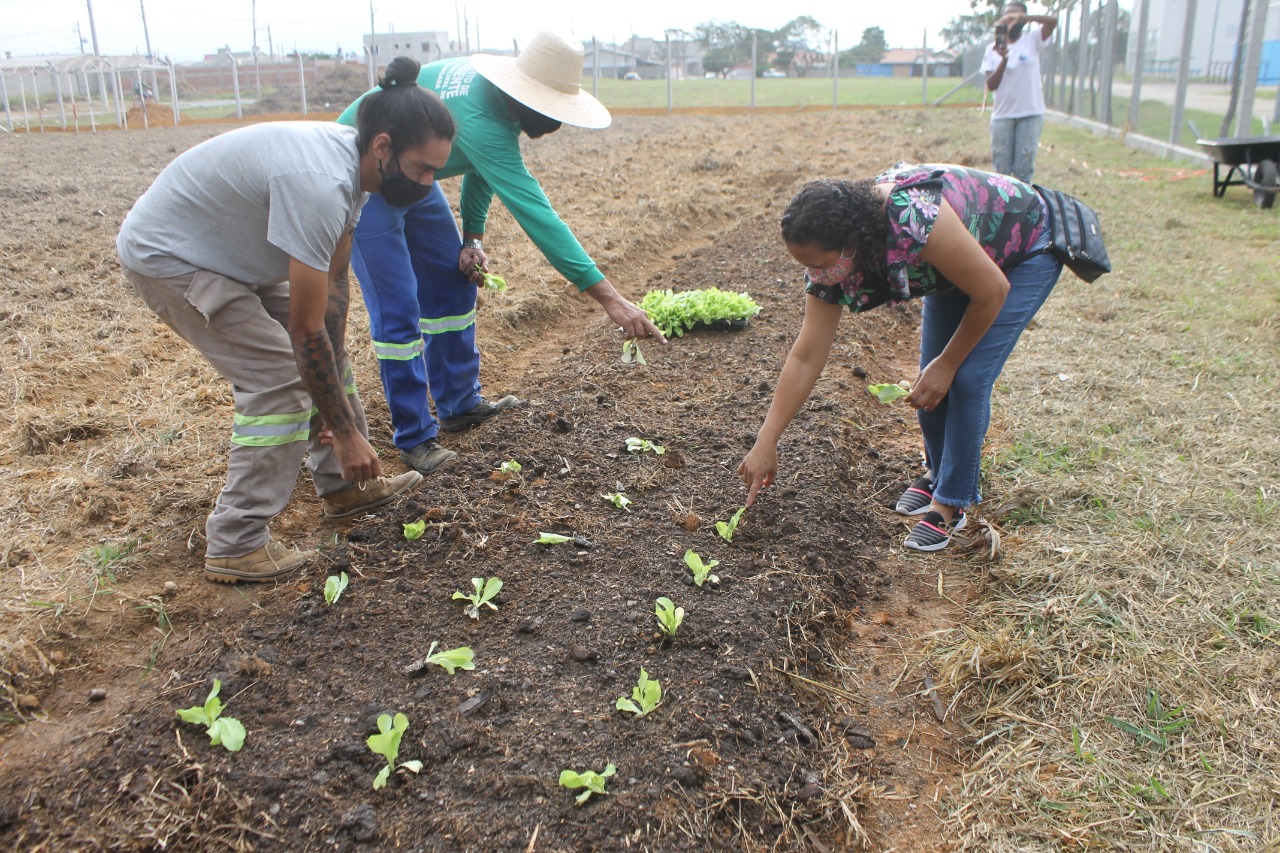 07/06 - Projeto Horta Comunitária é lançado pela Prefeitura