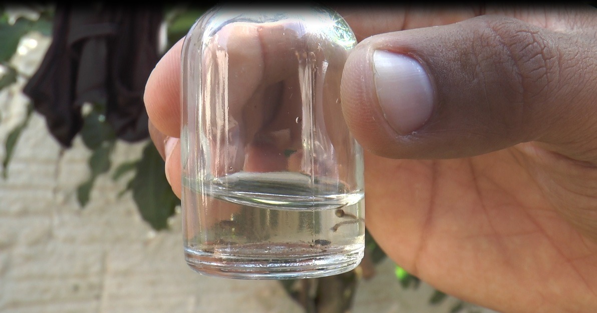 Penda bewertet die Dichte der Dengue-Larven in Araritama und im Parque São Domingos