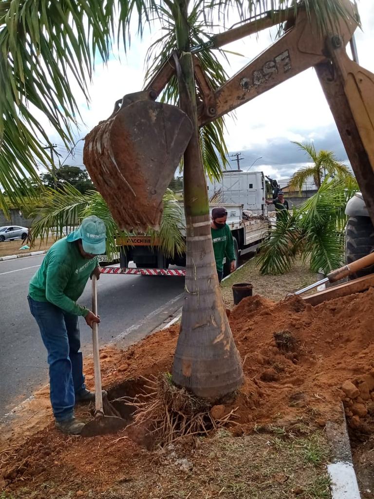 24/05- Prefeitura de Pindamonhangaba faz plantio de árvores em todo o anel viário