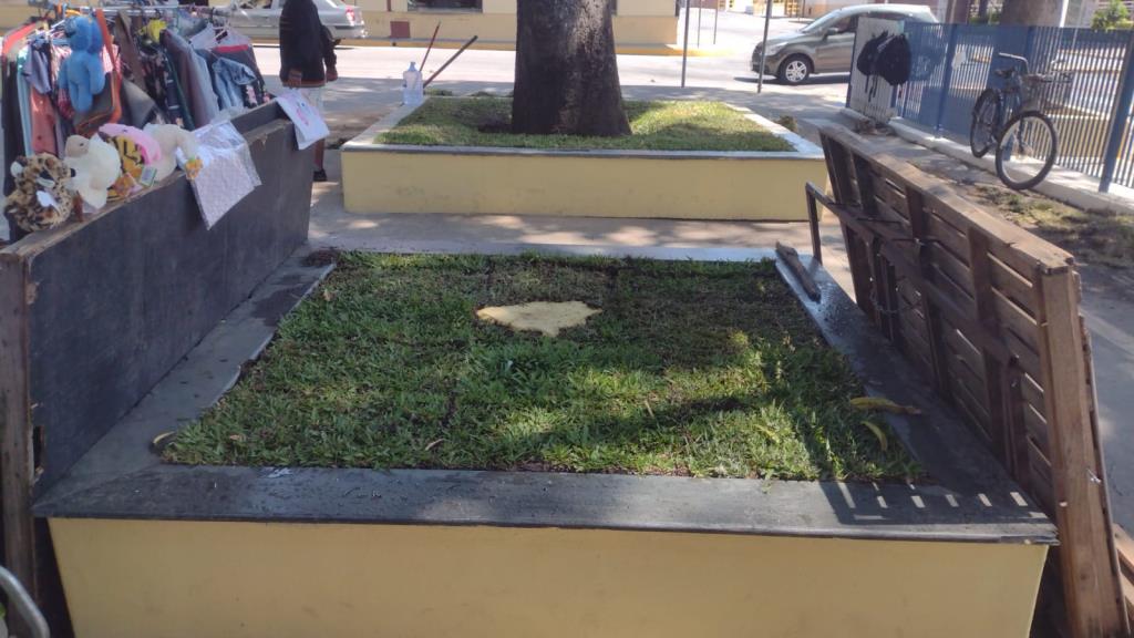 Feira Municipal recebe revitalização paisagística em Pinda