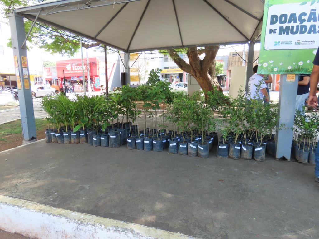 Prefeitura promove Semana de Meio Ambiente 2026 com ações educativas, doação de mudas e descarte sustentável