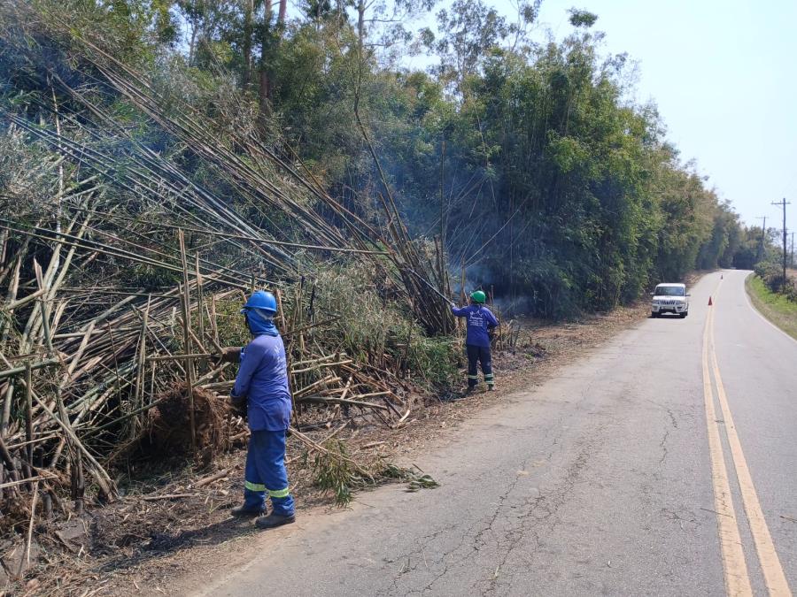 Desenvolvimento Rural reforça ações de poda e prevenção de queimadas em áreas rurais
