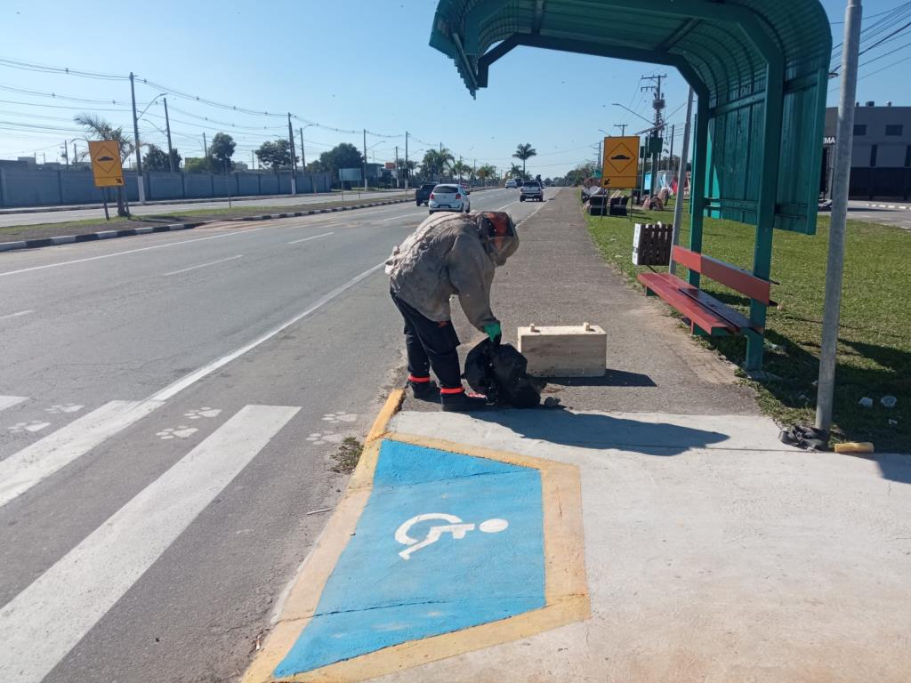 Defesa Civil realiza remoção de enxame de abelhas em ponto de ônibus próximo ao Cidade Nova