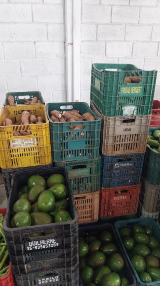 Pinda realiza primeira distribuição de alimentos a OSCs e deve beneficiar cerca de 1.200 pessoas