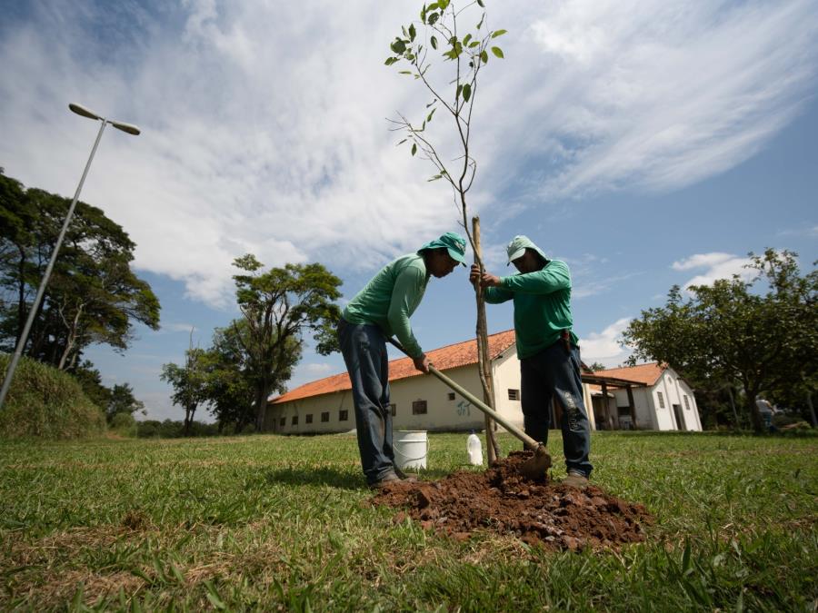 Prefeitura realiza a Semana do Meio Ambiente com diversas ações educativas e sustentáveis