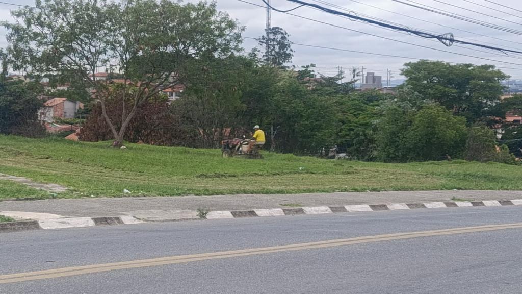 Especial Zeladoria: Áreas verdes passam por serviços de jardinagem em diversos bairros