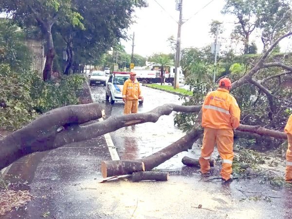 Plano de Contingência completa um ano e já é aplicado em fenômenos naturais