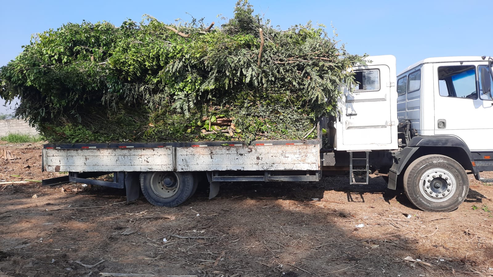 Prefeitura realiza ação preventiva em estradas da zona rural para minimizar riscos durante o período de ventos fortes