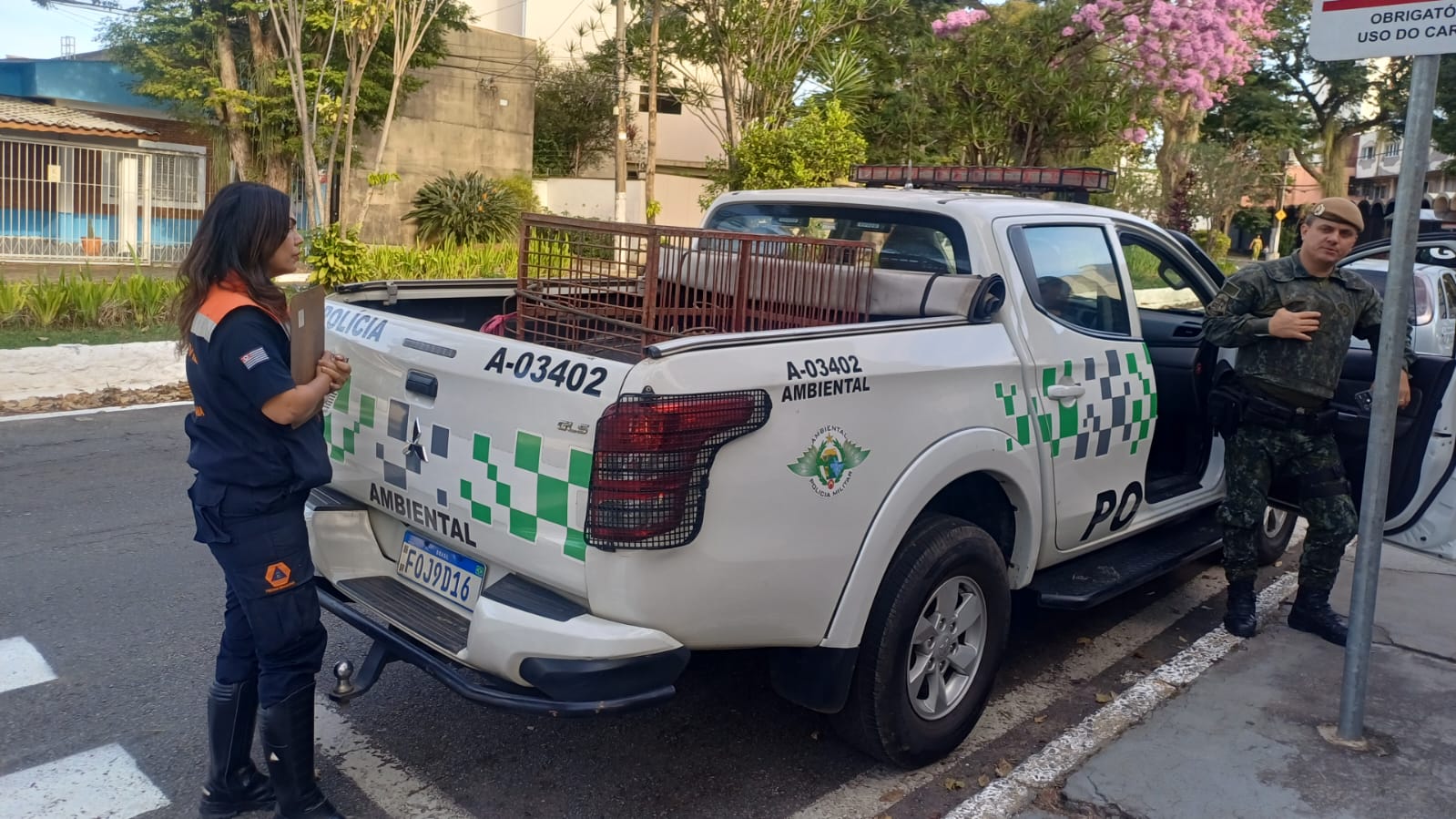 Defesa Animal de Pindamonhangaba resgata cães vítimas de maus-tratos em chácara