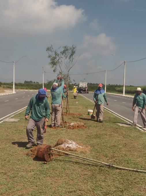 Prefeitura de Pinda realiza plantio de 59 árvores em Moreira César