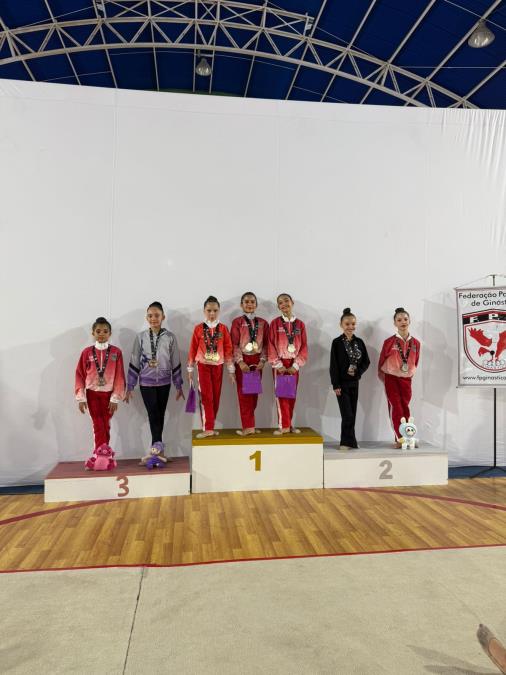 Ginástica Rítmica de Pindamonhangaba se destaca no Campeonato Estadual
