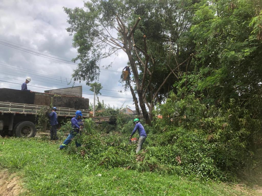 Prefeitura realiza manutenção em estradas rurais e podas em áreas estratégicas