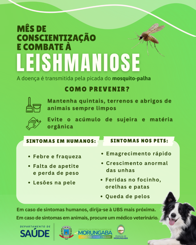 MÊS DE CONSCIENTIZAÇÃO: VOCÊ SABE O QUE É A LEISHMANIOSE?