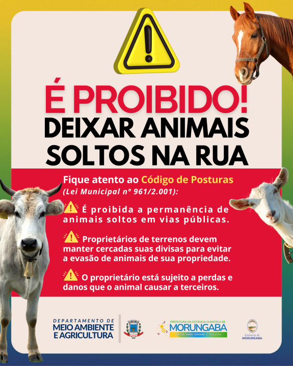 É proibido deixar animais soltos na rua