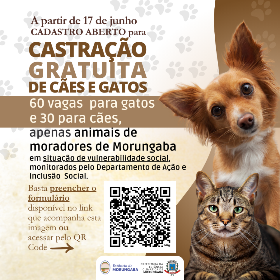 Prefeitura abre cadastro para castração gratuita de cães e gatos na próxima segunda-feira (17/6)