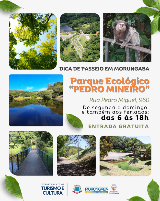 DESCUBRA O REFÚGIO ECOLÓGICO DE MORUNGABA: UM CENÁRIO PRESERVADO PARA SEUS MELHORES MOMENTOS.