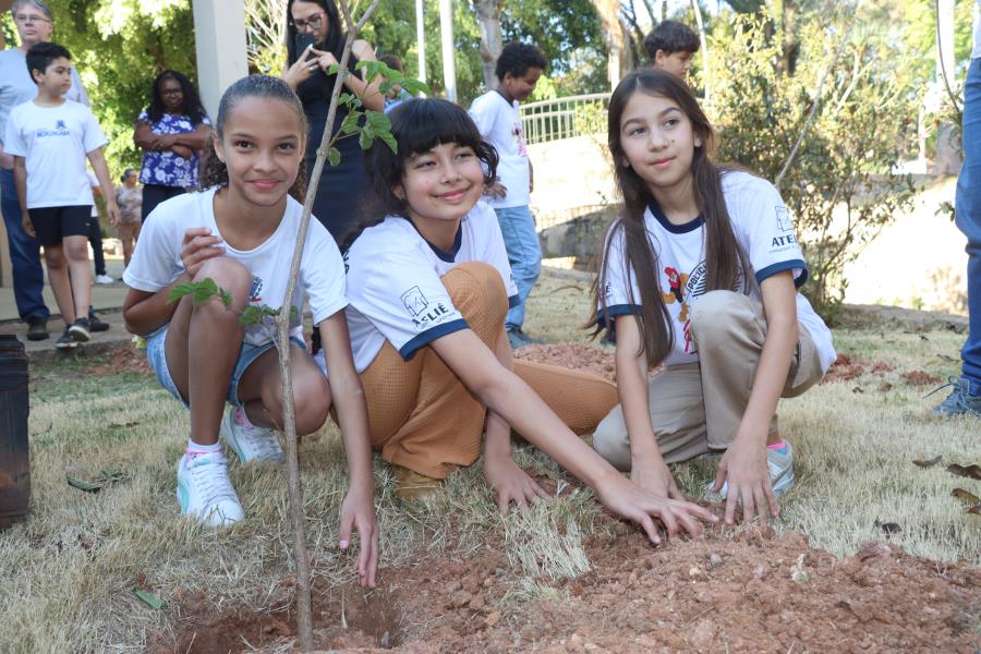 Dia da Árvore é celebrado com Plantio na Praça do Artesanato