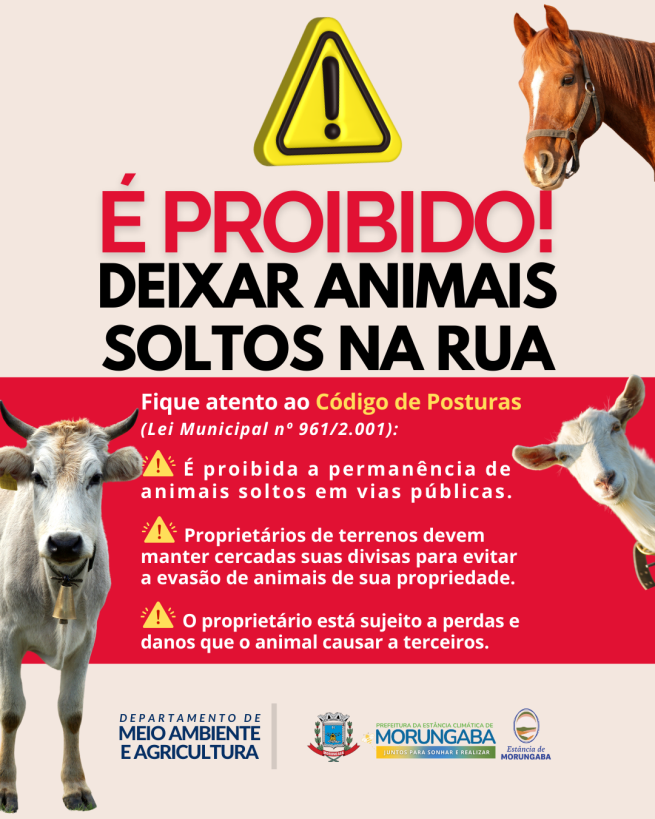 ANIMAL SOLTO NA RUA É PERIGO NA CERTA!