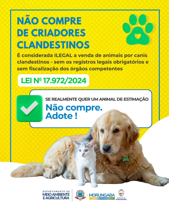 Cuidado com a compra de animais de criadores clandestinos!