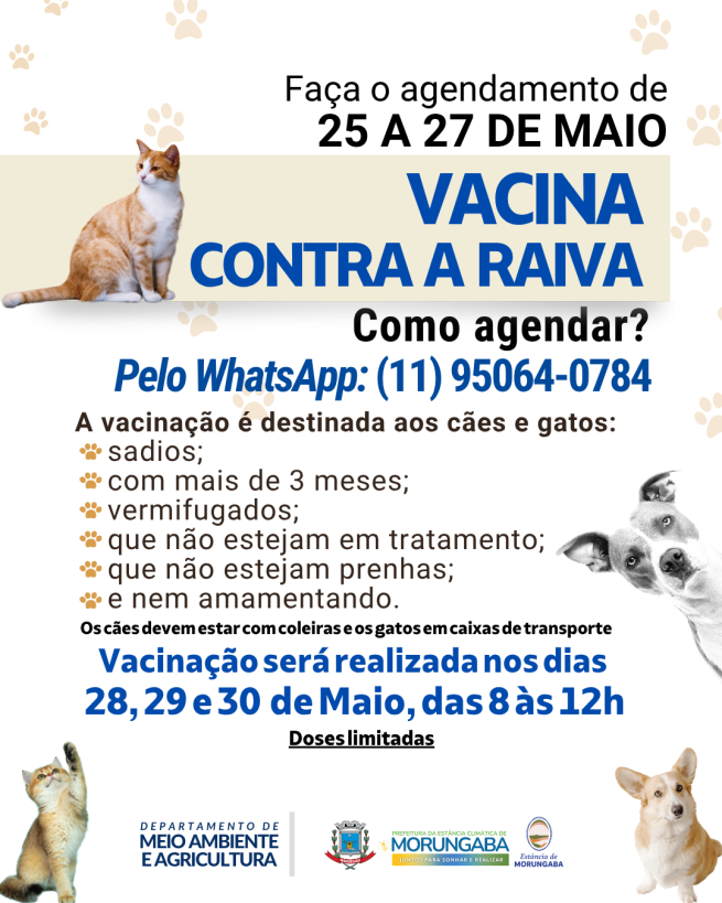 ATENÇÃO, PAPAIS E MAMÃES DE PET!