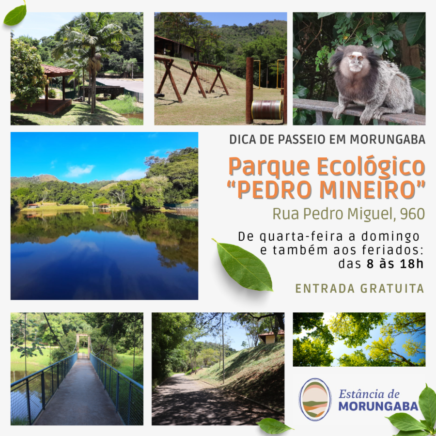 Visite o Parque Ecológico "Pedro Mineiro"
