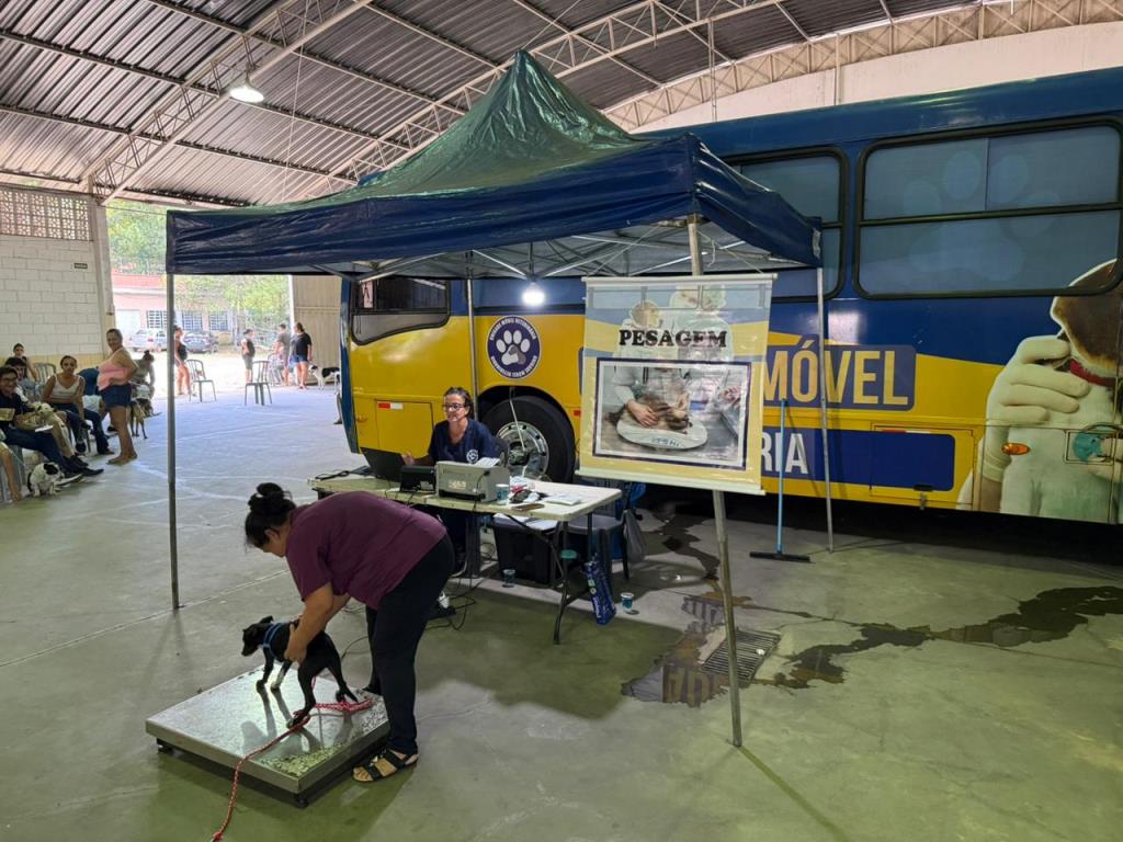 Mais 168 animais são castrados em mutirão neste sábado