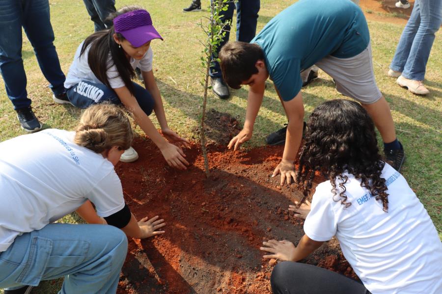 Plantio de mudas frutíferas abre programação do “Brinca Morungaba”