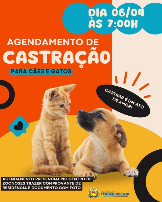 Centro de Zoonoses distribuirá senhas para castração de cães e gatos