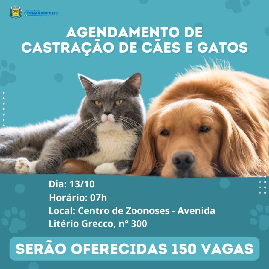 Centro de Zoonoses distribuirá senhas para castração gratuita