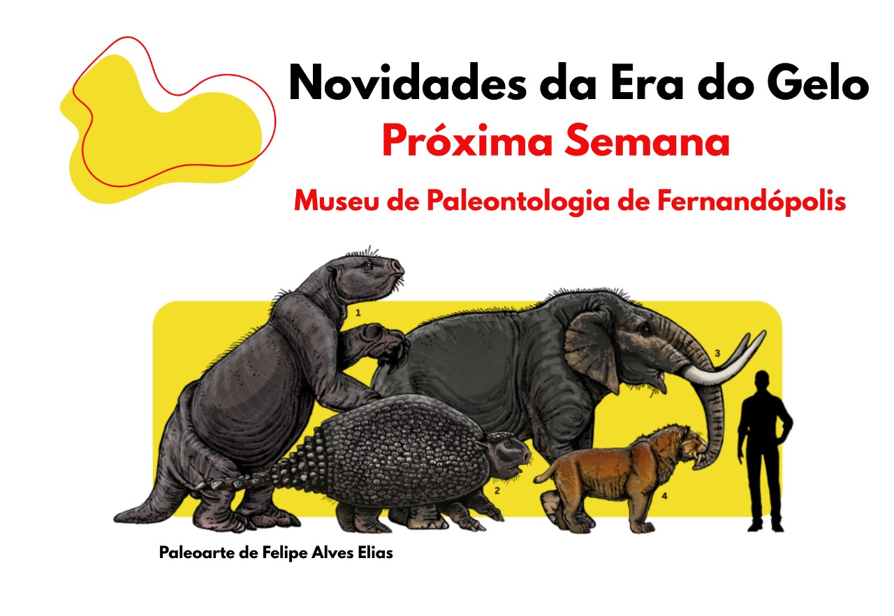 Museu de Paleontologia inaugura vitrine com réplicas e fósseis do Pleistoceno