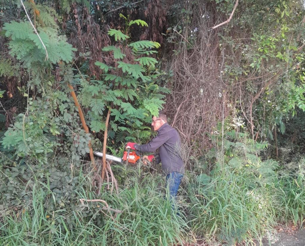 Área reflorestada há 20 anos no Ribeirão Santa Rita recebe manutenção