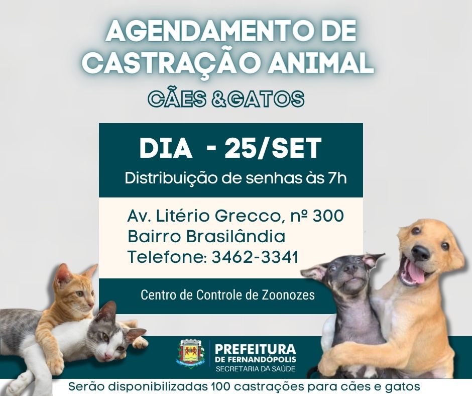 Agendamento para castração de animais acontece na próxima segunda, dia 25, no CCZ