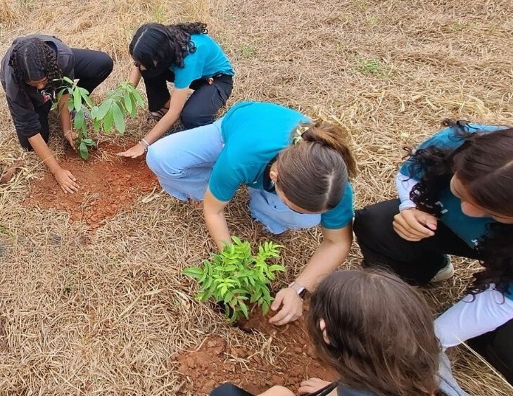 Secretaria de Meio Ambiente realiza ação educativa no Dia da Árvore