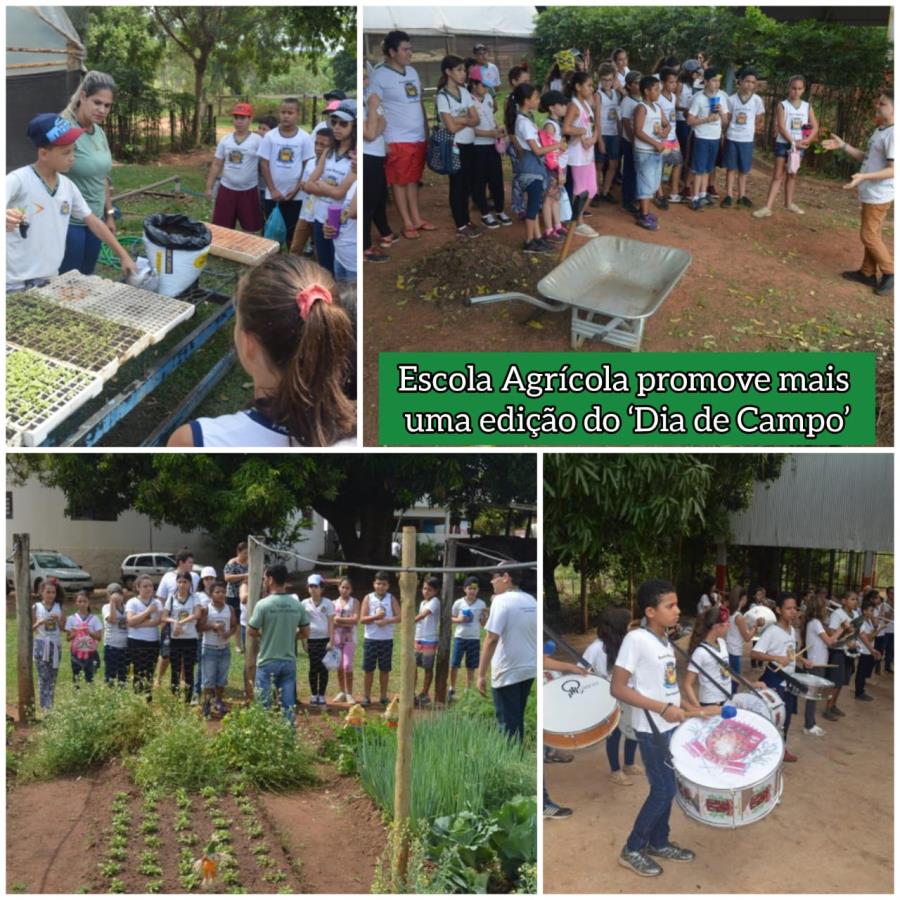 Escola Agrícola promove mais uma edição do ‘Dia de Campo’