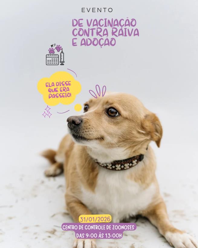 Primeira etapa da Vacinação Antirrábica de 2026 será neste sábado (31)