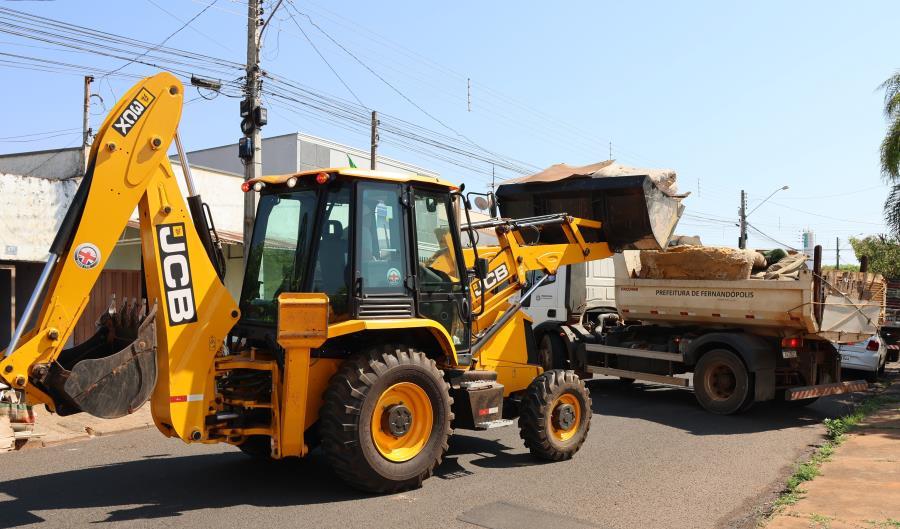 Meio Ambiente fecha o ano com 900t de resíduos recolhidos e 4 mil mudas doadas