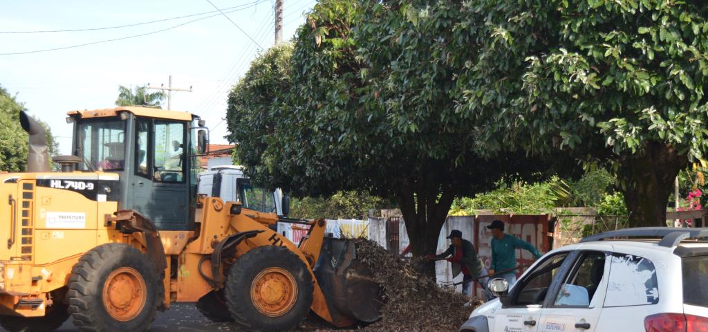 Prefeitura começa a recolher galhos no distrito de Brasitânia