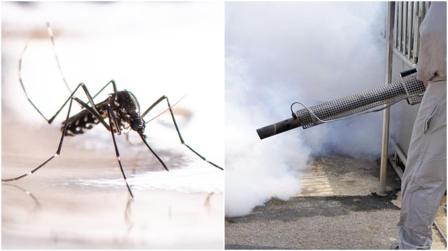 Dengue: equipes da Prefeitura reforçam combate ao Aedes em Itupeva