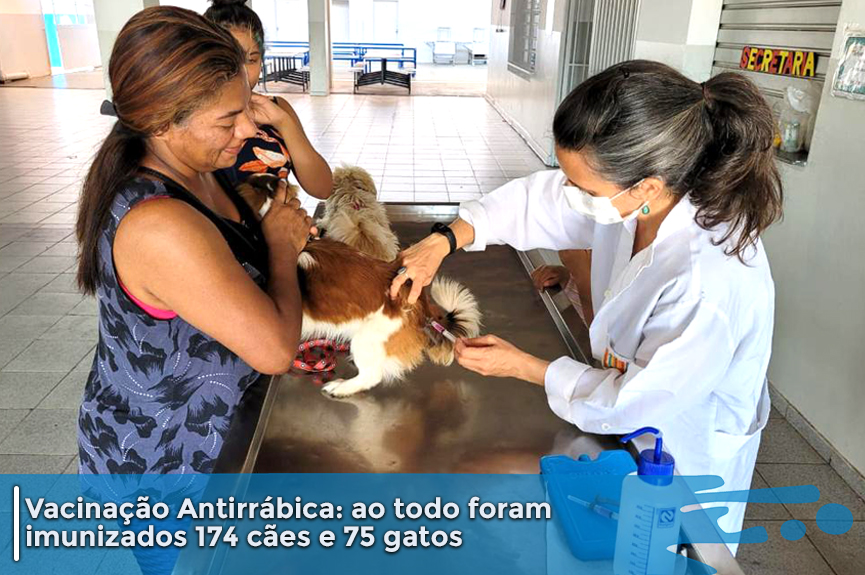 Em agosto, 249 animais são vacinados contra a raiva em Itupeva