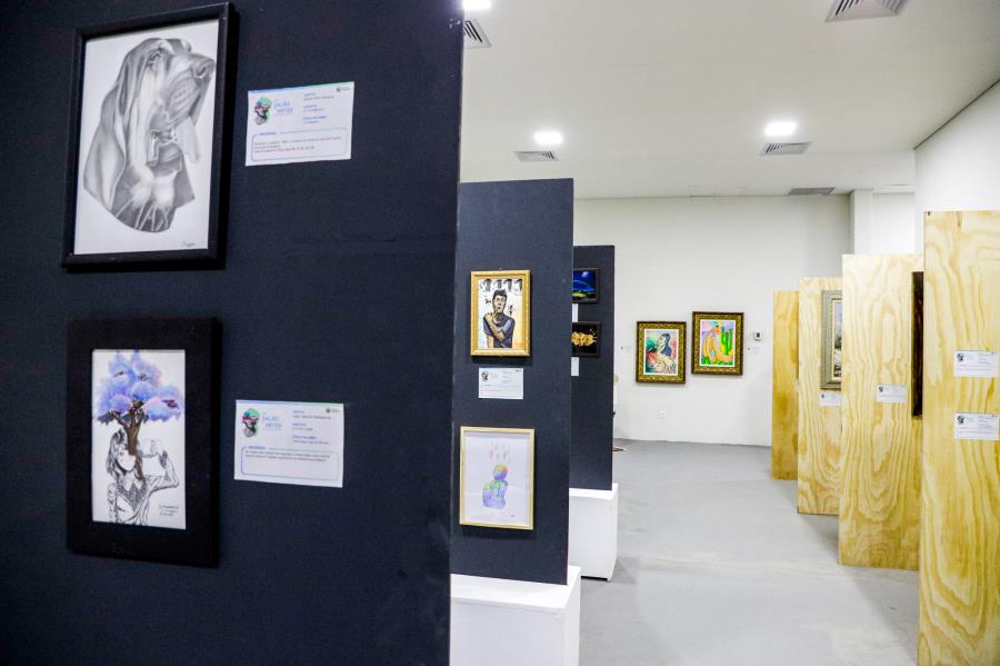 Novidade! Salão de Artes Plásticas receberá inscrições de artistas de qualquer cidade do Brasil