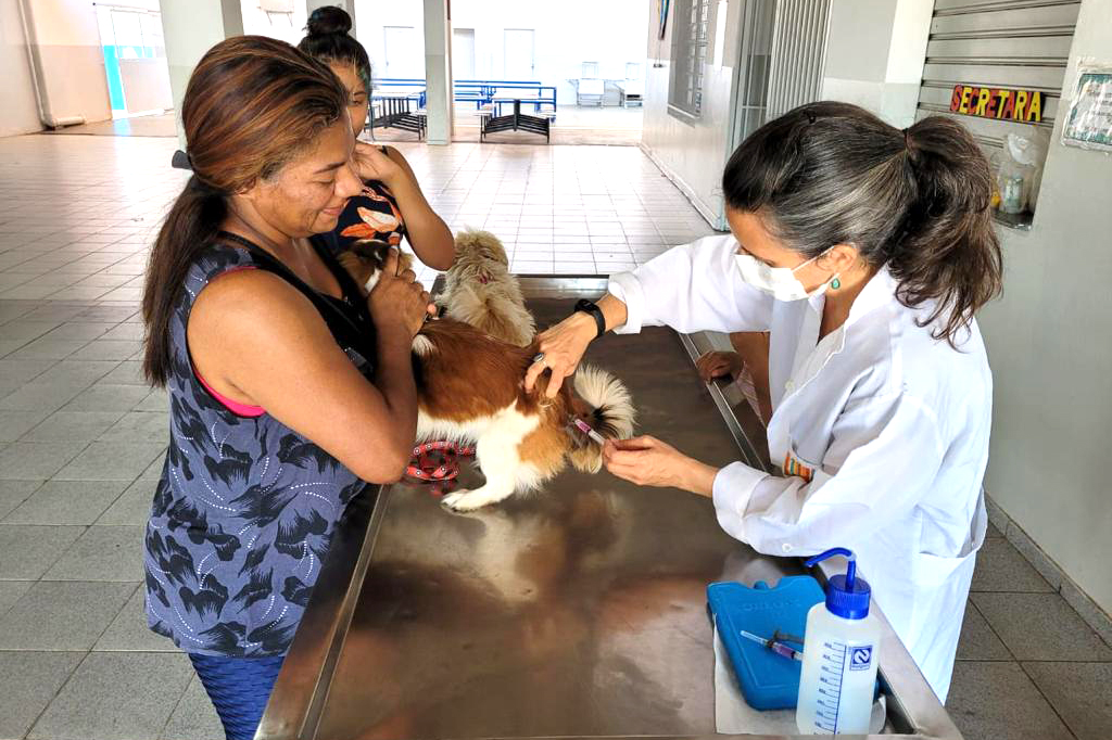 Com agendamento on-line, Prefeitura inicia novo ciclo de vacinação contra raiva animal