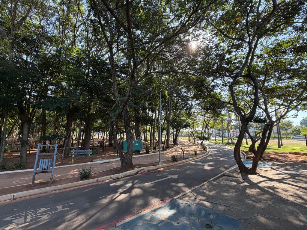 Parque da Cidade passará por manejo arbóreo para garantir mais segurança e preservar a biodiversidade