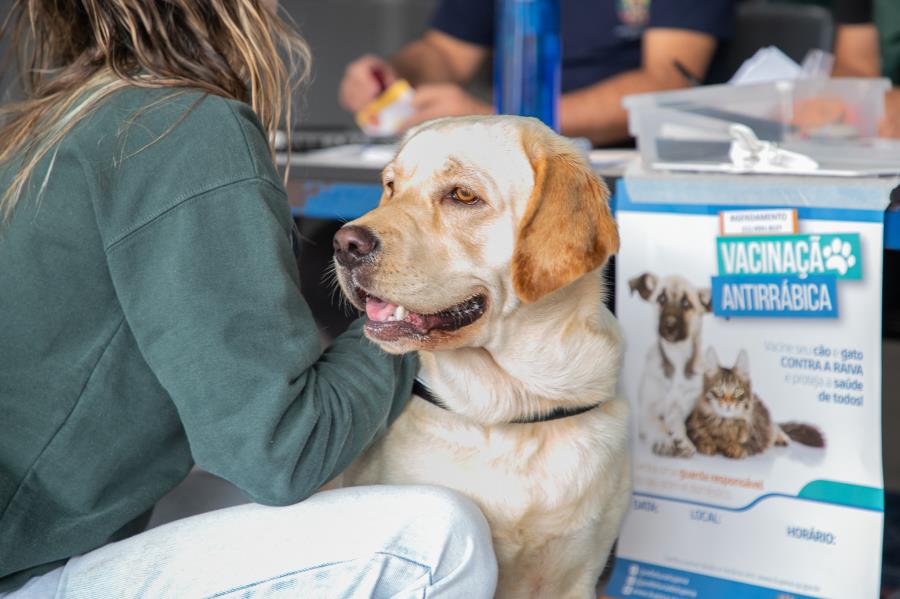 Itupeva inicia novo ciclo de vacinação contra raiva animal