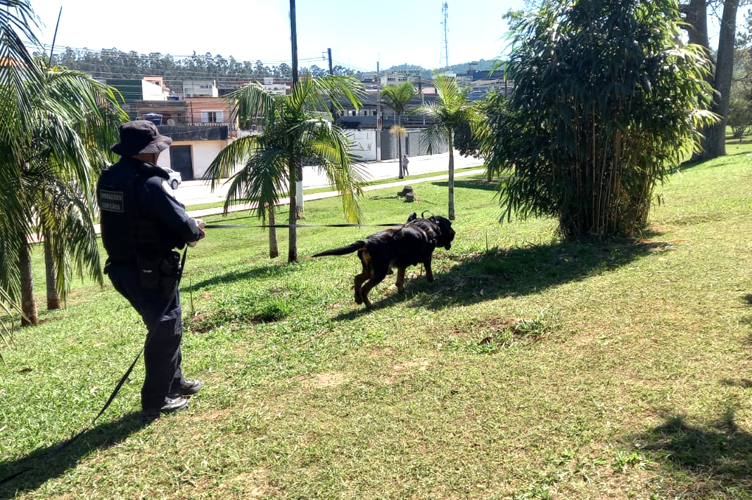 Max e Pluto, cachorros da GCM de Itupeva, atuam juntos em busca de desaparecidos pela primeira vez