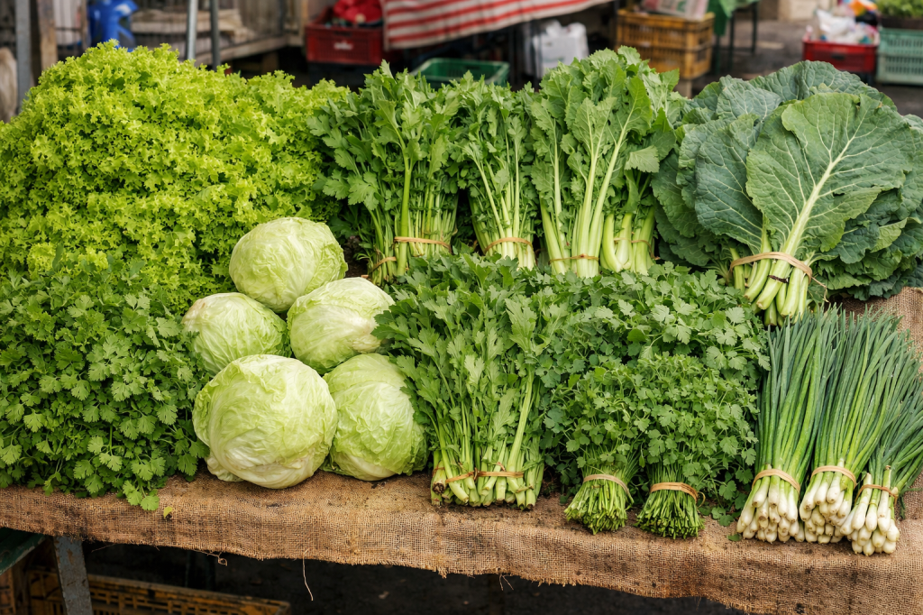 Sítio Santo Antônio