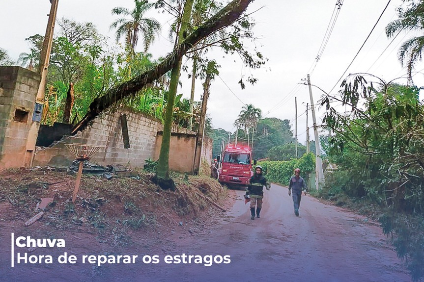 Prefeitura intensifica trabalho e retira árvores que caíram durante a chuva de domingo