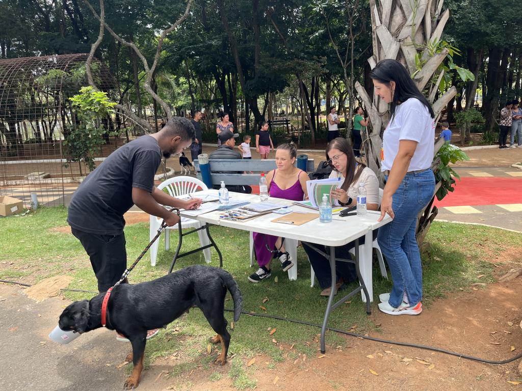 Mutirão de castração realiza 391 cirurgias no Parque da Cidade