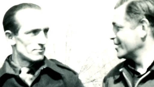 "Unknown Ravens" - Mostra Cidades Criativas