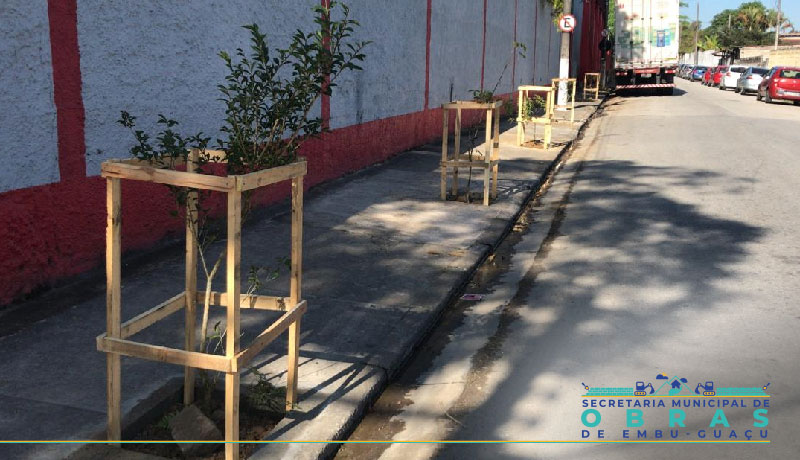 PREFEITURA E UNIÃO QUÍMICA REALIZAM ARBORIZAÇÃO URBANA